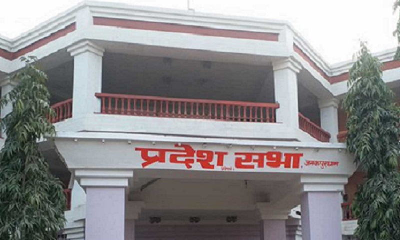 प्रदेश सरकारको योजनामा पर्यो बैदेशिक रोजगारको विषय